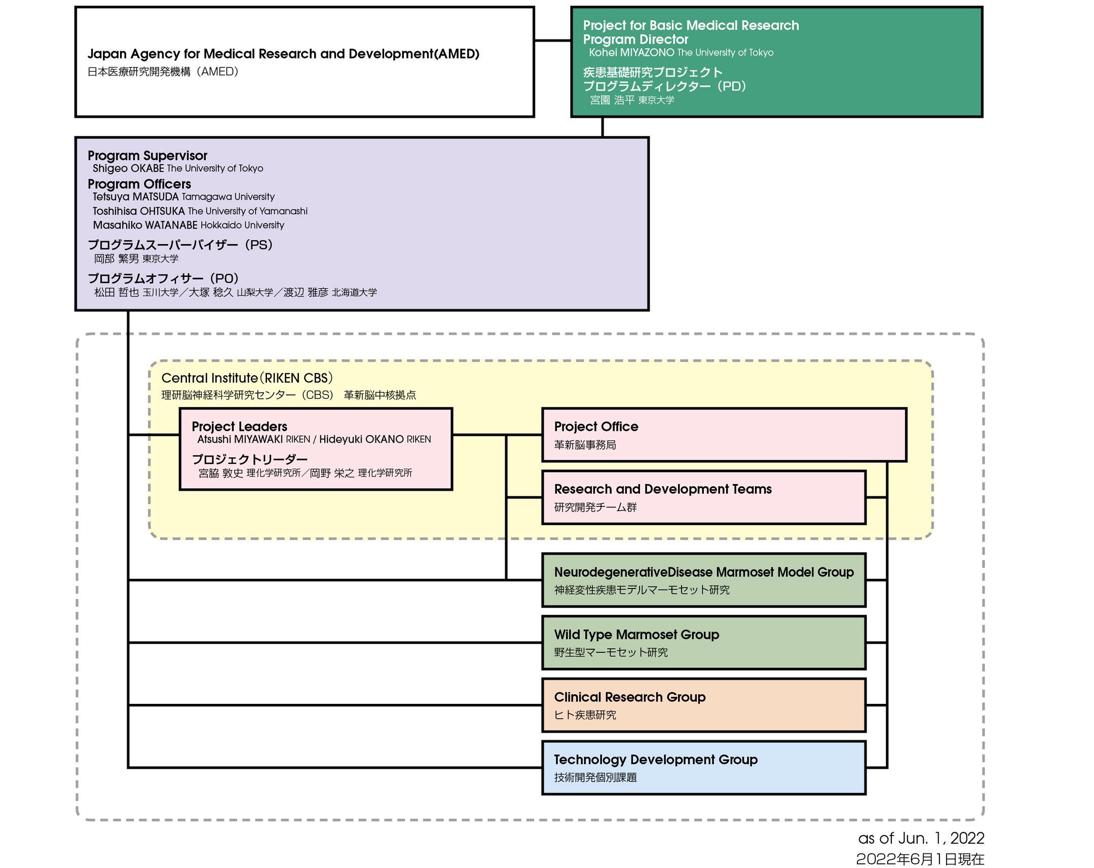 organization chart